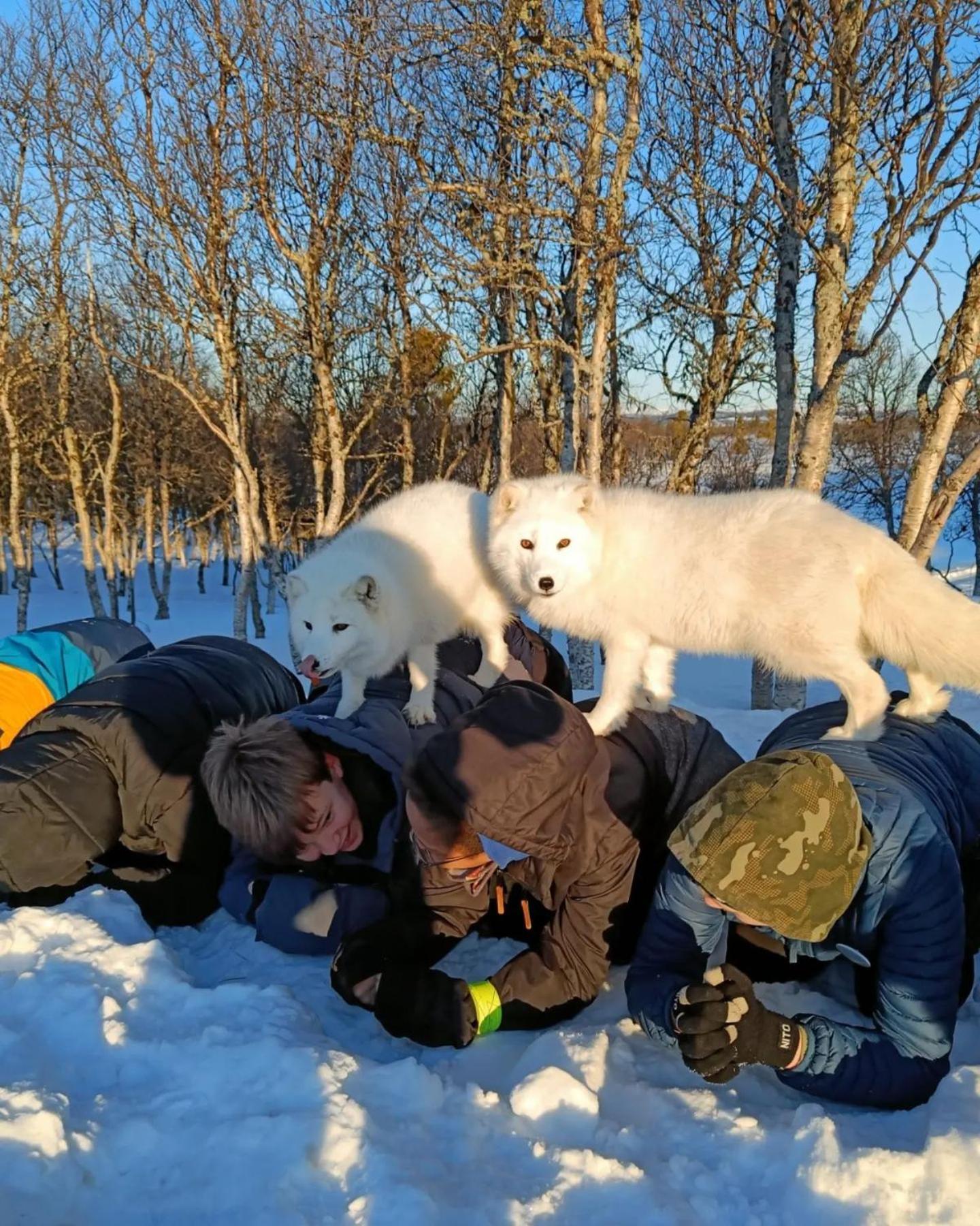 Langedrag Naturpark Tunhovd 外观 照片